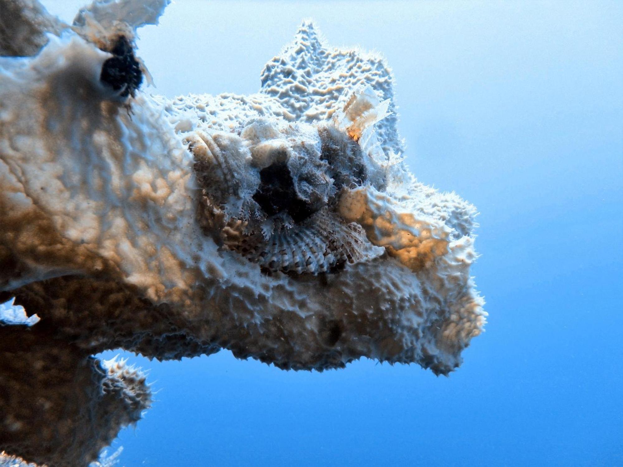 ブディ サン リゾート マウメレ エクステリア 写真
